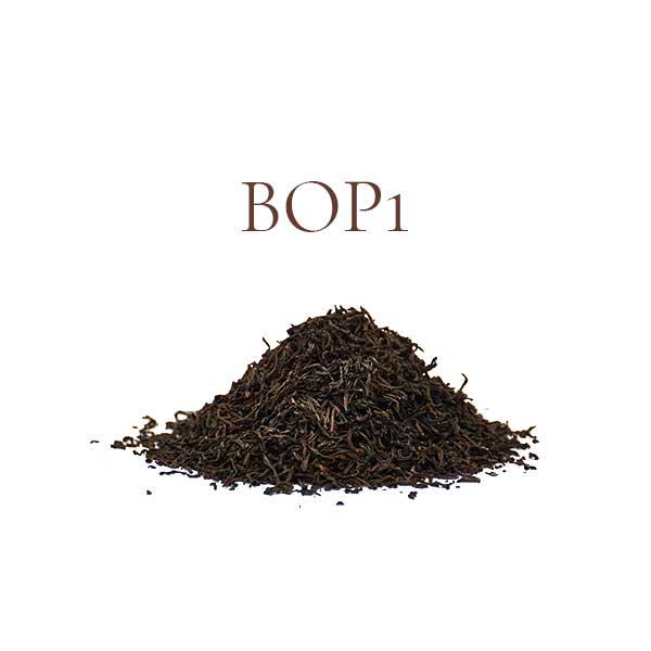 Black Teas - BOP1