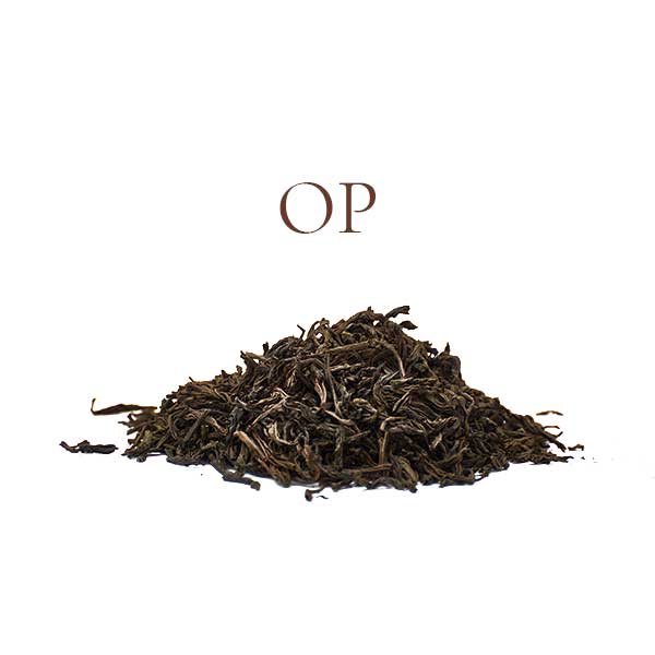 Black Teas - OP