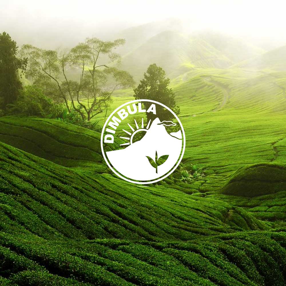 Dimbula Refreshingly mellow | Empire Teas