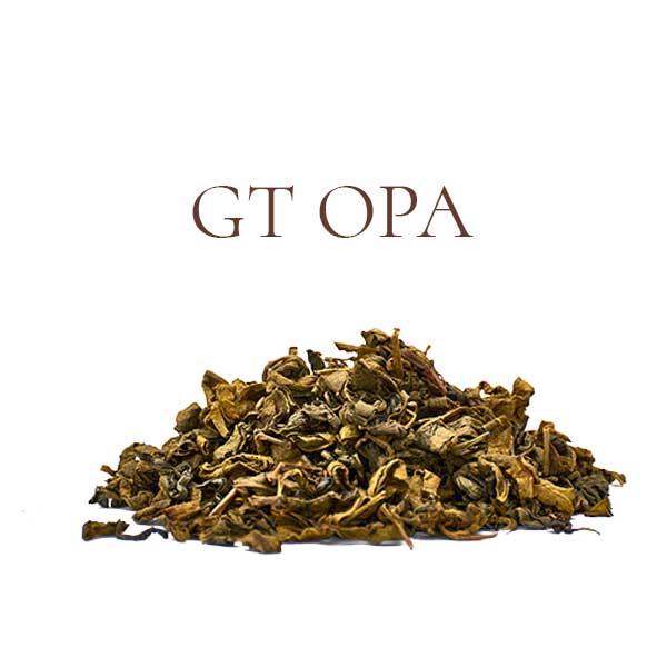 Green Teas - GT OPA
